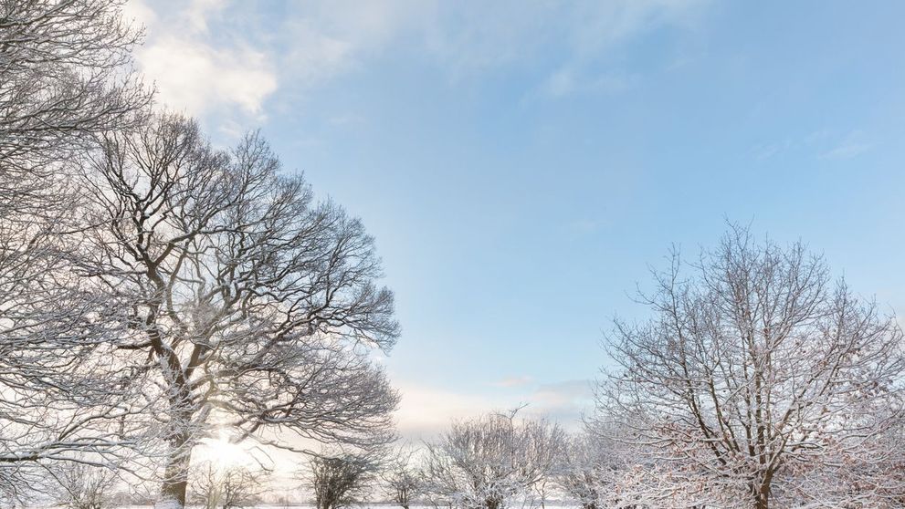 Prognoza meteo: Cod galben de ploi și ninsori