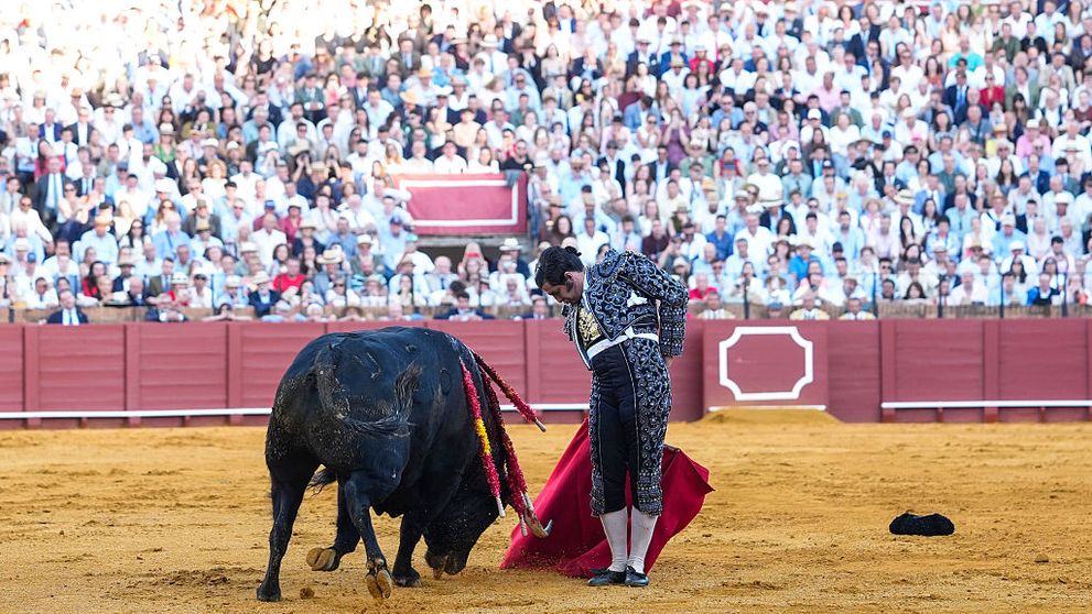 Cel mai bun toreador din Spania, rănit grav de un taur la o coridă din Sevilla. Spectatorii au privit cu groază cum acesta își înfige cornul drept în...