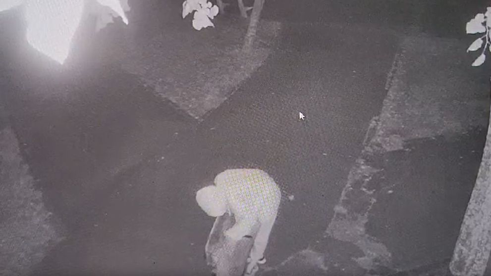 Ce a putut să facă Loredana, tânăra care și-a ucis cea mai bună prietenă, când a ajuns în sala de judecată. Criminala din Mangalia i-a uimit pe judecători cu atitudinea ei