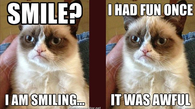 Grumpy Cat a produs o avere in ultimii doi ani. Uite ce suma uriasa a incasat  cea mai suparata pisica de pe internet: