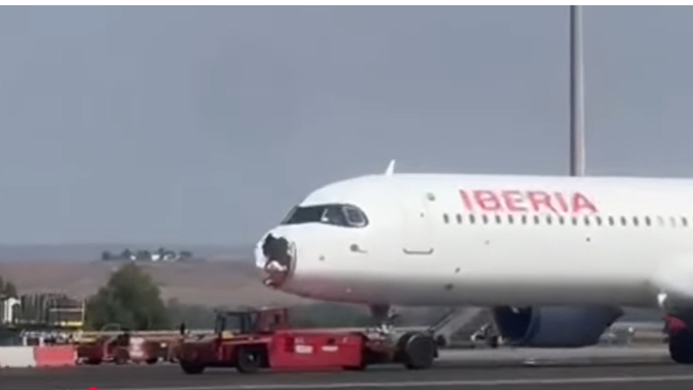 VIDEO Un avion cu 182 de pasageri a lovit un vultur. Botul aeronavei a fost smuls, iar călătorii au fost nevoiţi să-şi pună masca de oxigen