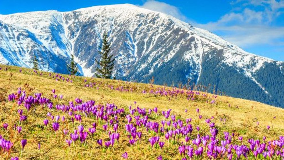 Cel mai mare parc national din Europa ar putea fi facut in Romania! Cum arata zona comparata cu Yellowstone