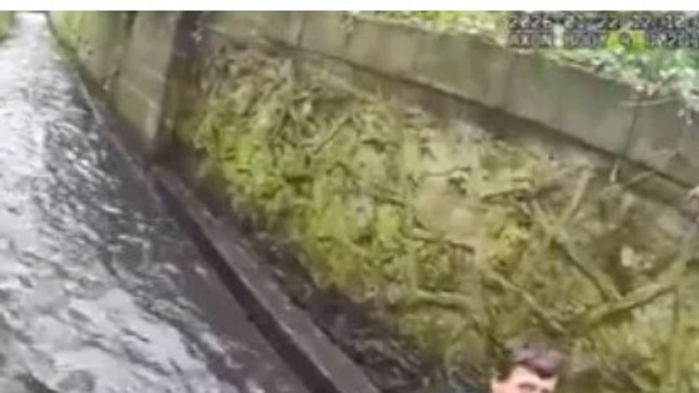 Cea mai amuzantă arestare. Momentul când un hoț țipă ca o fetiță, în timp ce e mușcat de agentul canin Bowser, înainte să-i cadă pantalonii și să fie reținut de poliție