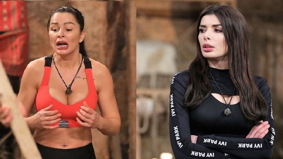 Ioana Filimon, despre cum s-a stricat relația ei cu Brigitte, la FERMA: „S-a dezlănțuit Iadul”