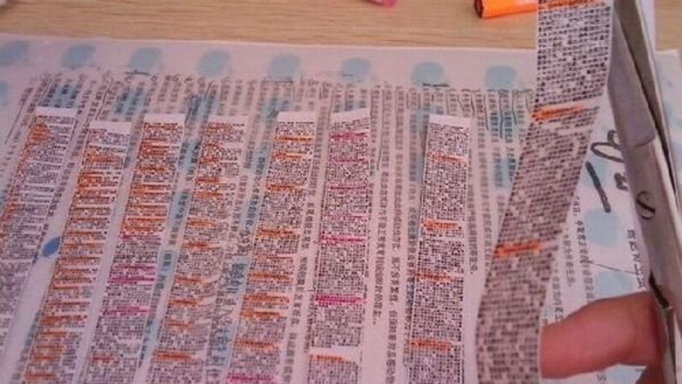 EL este maestrul copiutelor: A fost prins la examen cu <span style=