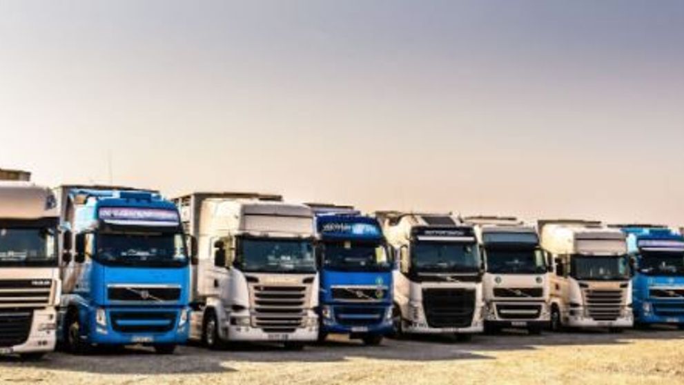 (P) Transport animale profesionist, rapid si ieftin doar la Livestocktransport.ro