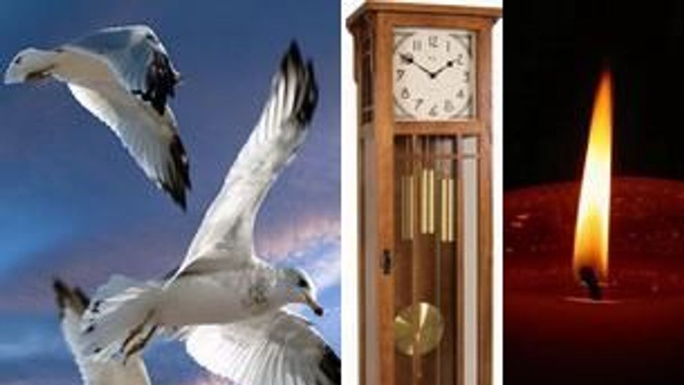 Superstitii ciudate, nebunesti, infricosatoare! Crezi in ele?