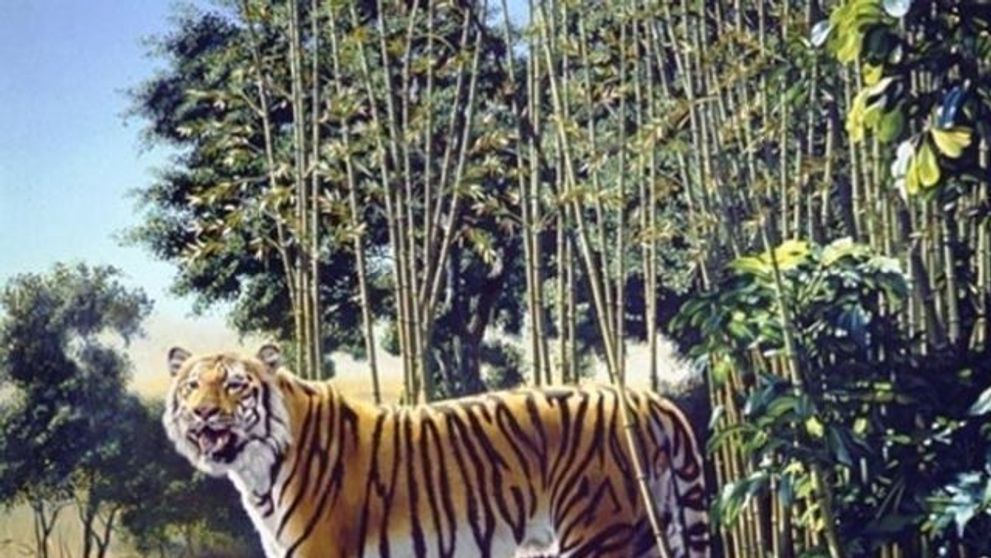A fost desemnat cel mai greu puzzle de pana acum. Tu vezi cel de-al doilea tigru in imagine?