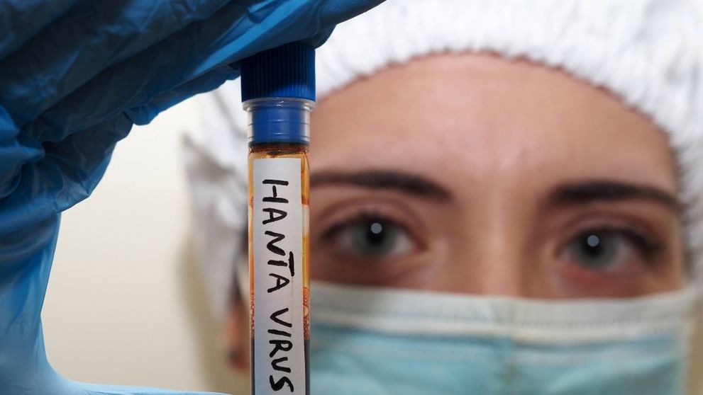 Hantavirus în România. Ce se întâmplă în spitalul unde a fost internat pacientul suspect de hantaviroză