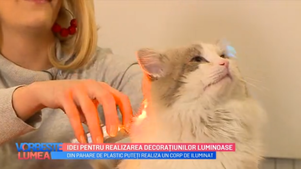 VIDEO Idei pentru realizarea decorațiunilor luminoase