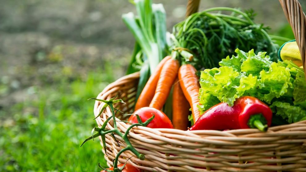 HRANĂ PROASPĂTĂ, DIRECT DE LA PRODUCĂTOR. O listă cu producători locali de alimente care livrează acasă