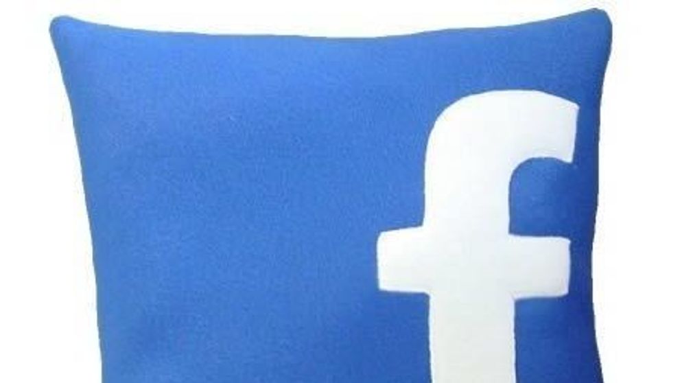Afaceri inspirate de succesul Facebook 