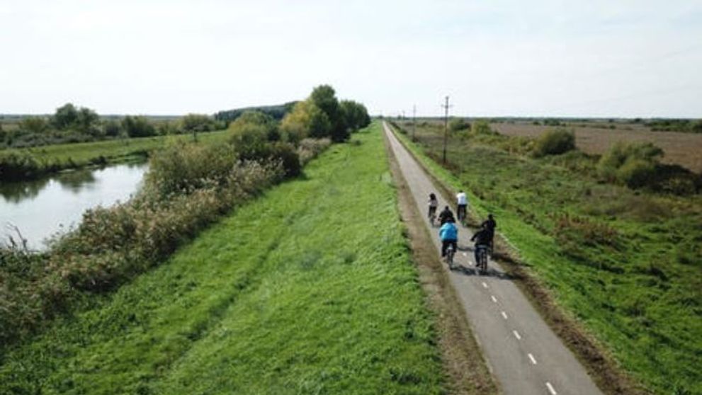 Mărturia unei tinere din Timișoara după ce a fost sfâșiată de mai mulți câini ciobănești pe o pistă de biciclete: „Erau ieșiți de sub orice control...”
