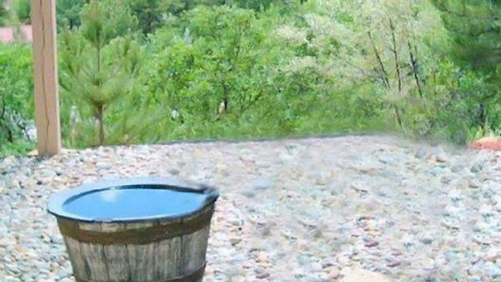 In gradina lor se intampla ceva ciudat, asa ca au instalat o camera de supraveghere. Au avut parte de cea mai mare surpriza cand s-au uitat pe inregistrare