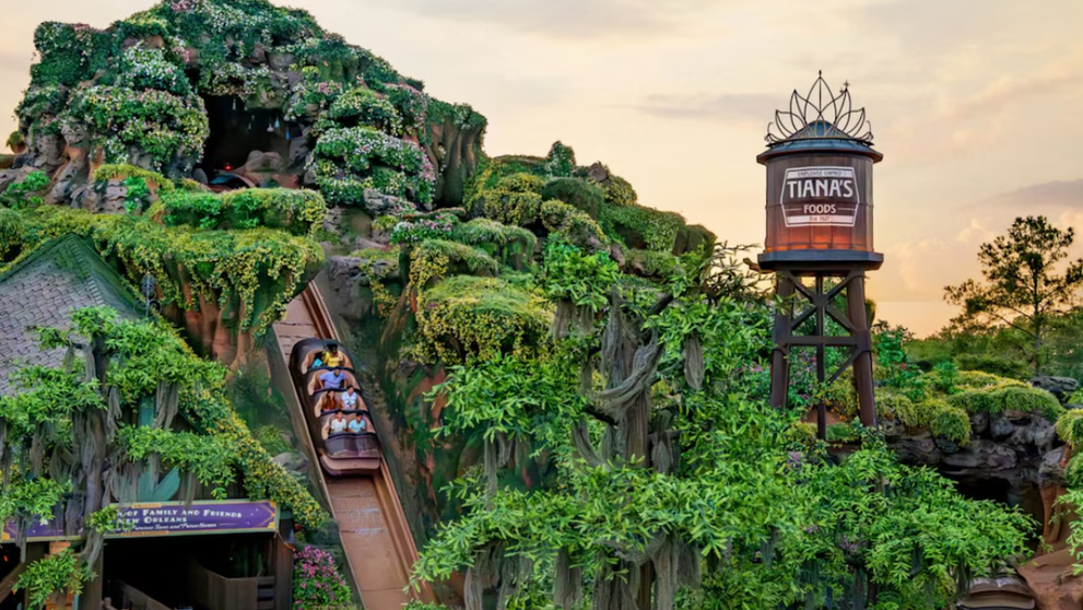 Clipe de groază la Disneyland! Un băiat de 13 ani a căzut în gol de la peste 15 metri: „Mă surprinde că nu au instalat centuri pentru a preveni astfel de situații”