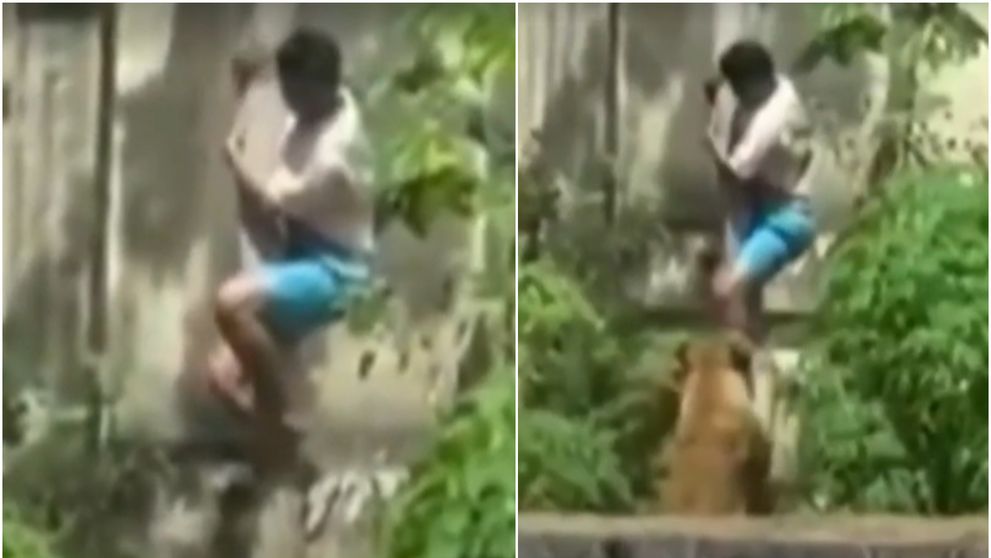 Momentul îngrozitor în care un tânăr este sfâșiat de o leoaică într-o grădină zoologică! Scenele s-au petrecut sub privirile vizitatorilor
