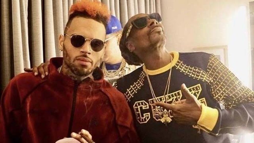 Petrecerea de ziua lui Chris Brown, cu 500 de invitați, închisă de poliție