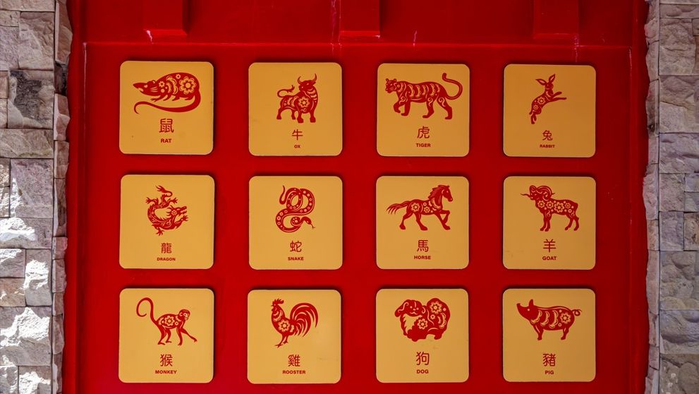 Cristina Groza schimbă toate calculele din zodiacul chinezesc! După 7 iulie, o zodie poate pierde bani, alta intră în cea mai agitată lună