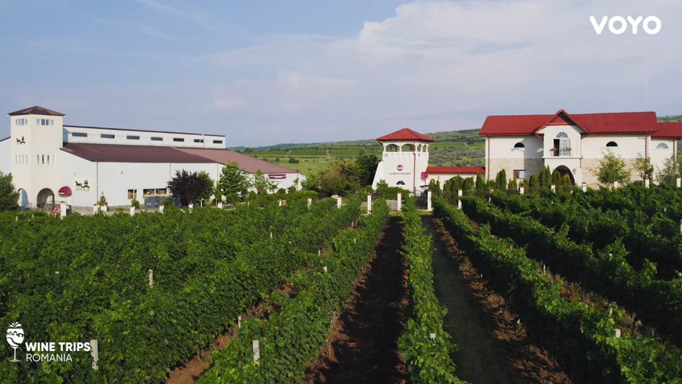 Wine Trips România, sezonul 4 | Crama Liliac, vinuri din Lumea Nouă într-o zonă viticolă istorică