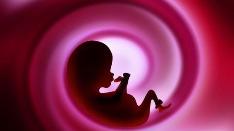 Dezvoltarea fatului. Cum arata fata unui bebelusul in a treia luna de sarcina