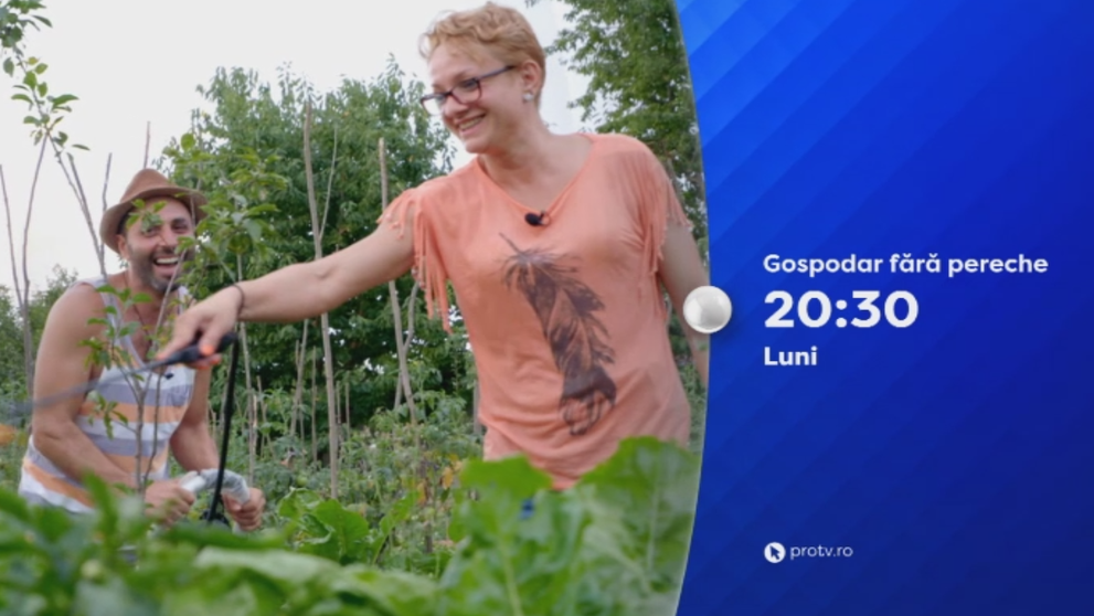 S-au vazut, s-au placut, acum a venit vremea alegerii! Ce vor face gospodarii nostri? Aflam astazi de la 20:30