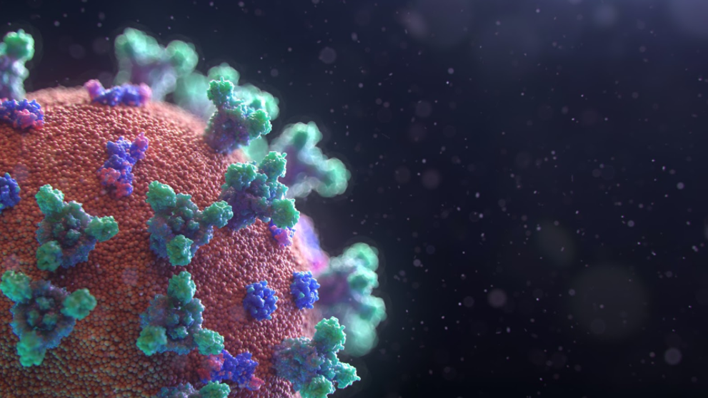 (P) Reinfectarea cu noul coronavirus - cât timp după vindecare rămân pacienţii imuni la COVID-19?