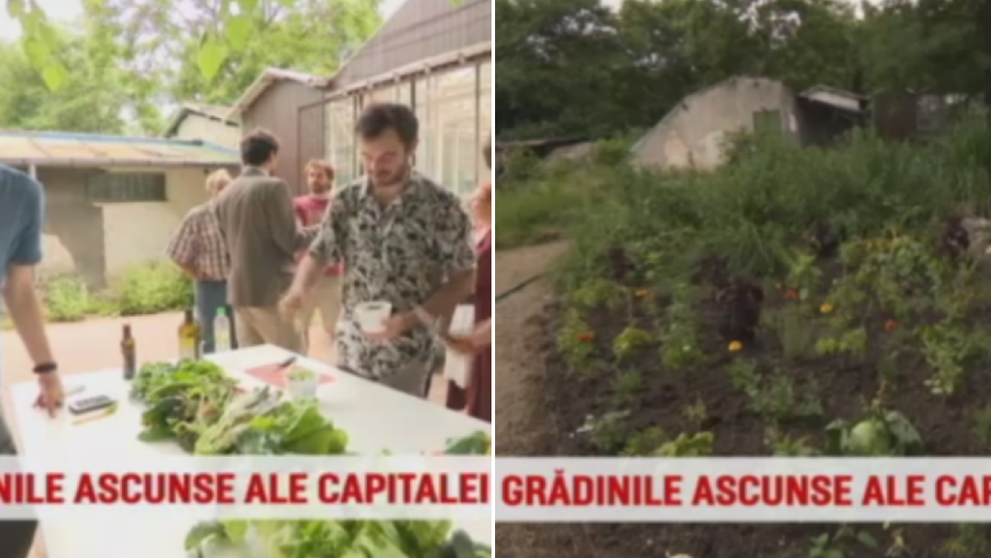 O frumusete ascunsa a Bucurestiului va fi redata publicului dupa zeci de ani de abandon: gradina Casei Universitarilor