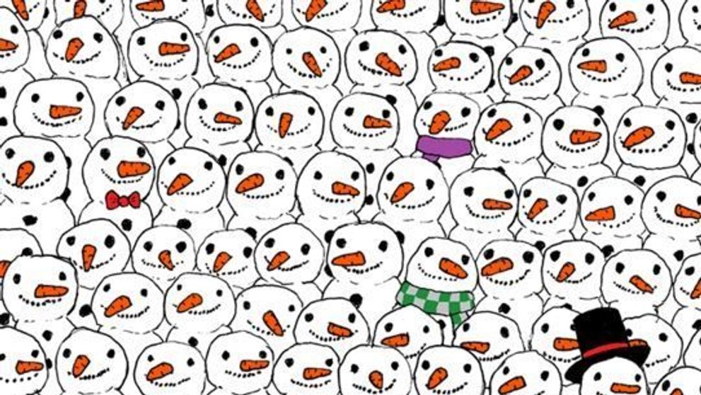 Imaginea care a captivat internetul! Tu vezi unde este ursul panda in poza?