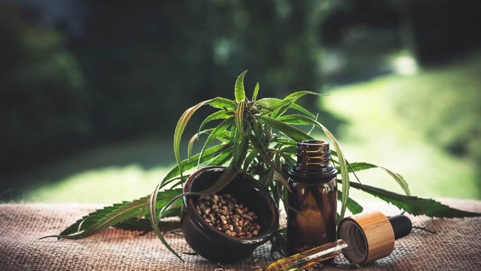 (P) Ulei CBD: Informaţii pe care vrei să le ştii