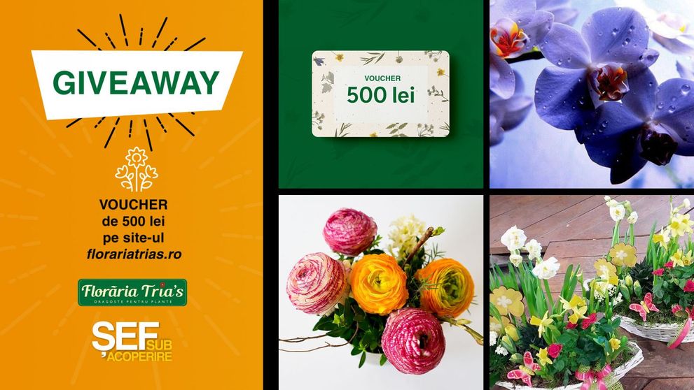 GIVEAWAY SĂPTĂMÂNAL Răspunde la întrebare și poți câștiga un voucher de 500 lei la florăria Tria's