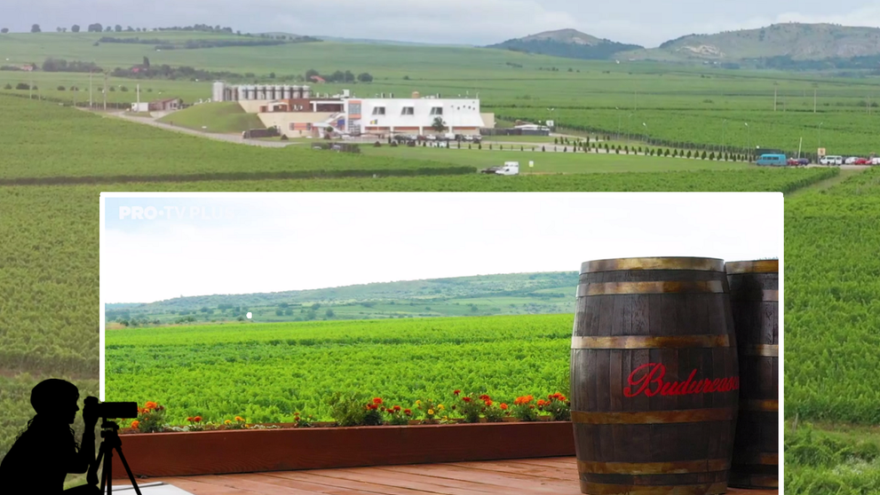 Wine Trips România | Crama Budureasca, locul în care vinul e mereu acasă