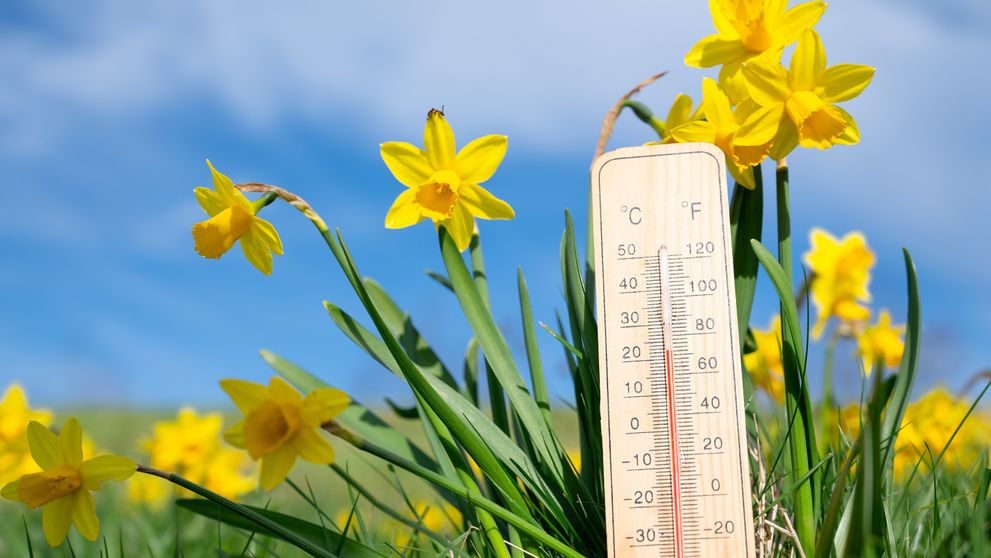 Cum va fi vremea de Florii 2026. Prognoza meteo actualizată pentru următoarele patru săptămâni. Unde sunt așteptate ploi