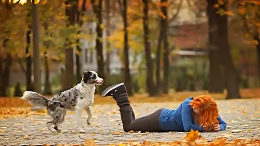 Si-a invatat cainele Border Collie peste 50 de trucuri uimitoare. Clipul care a impresionat sute de mii de oameni