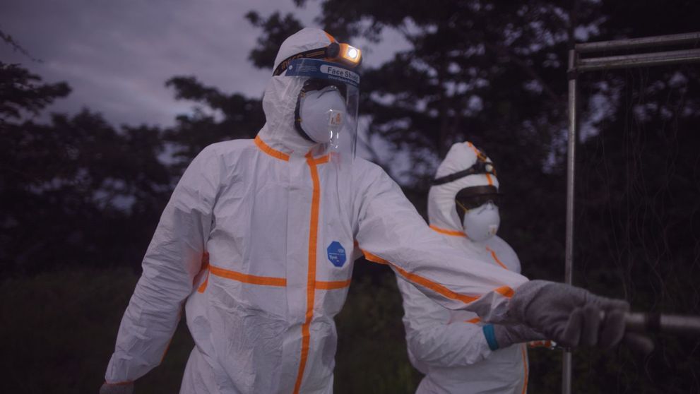 EXCLUSIV: Epidemiolog și nutriționist de la Harvard, despre pandemia SARS-CoV-2: 