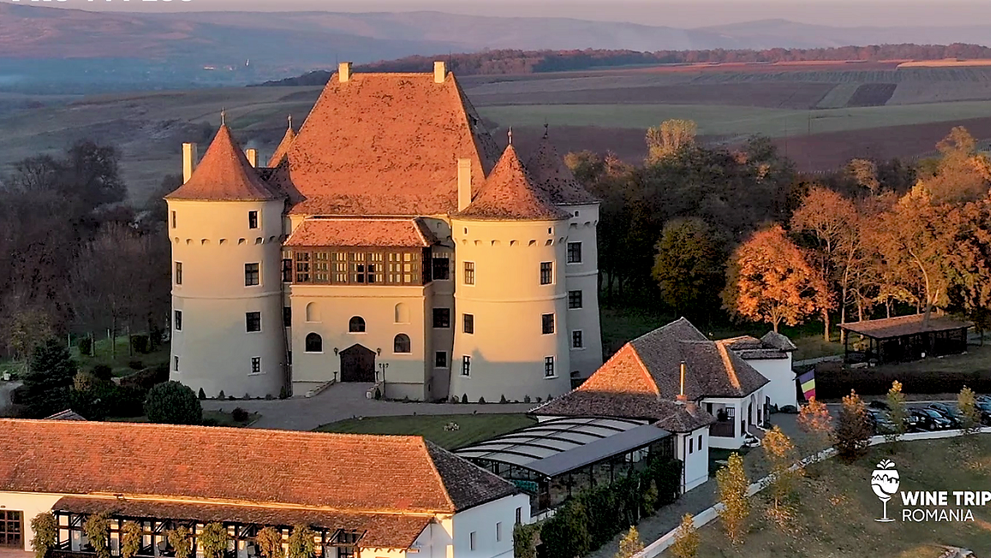Wine Trips România | Noapte la castelul nobililor Bethlen-Haller din inima Transilvaniei