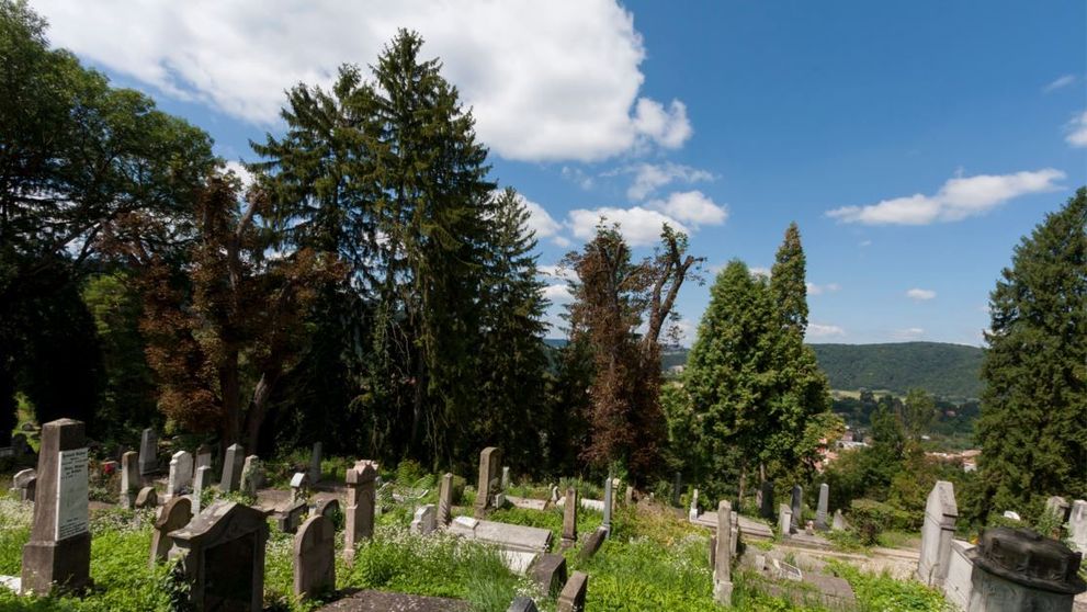 O femeie a devenit faimoasă după ce i-a numit pe cei prezenți la înmormântarea surorii ei 