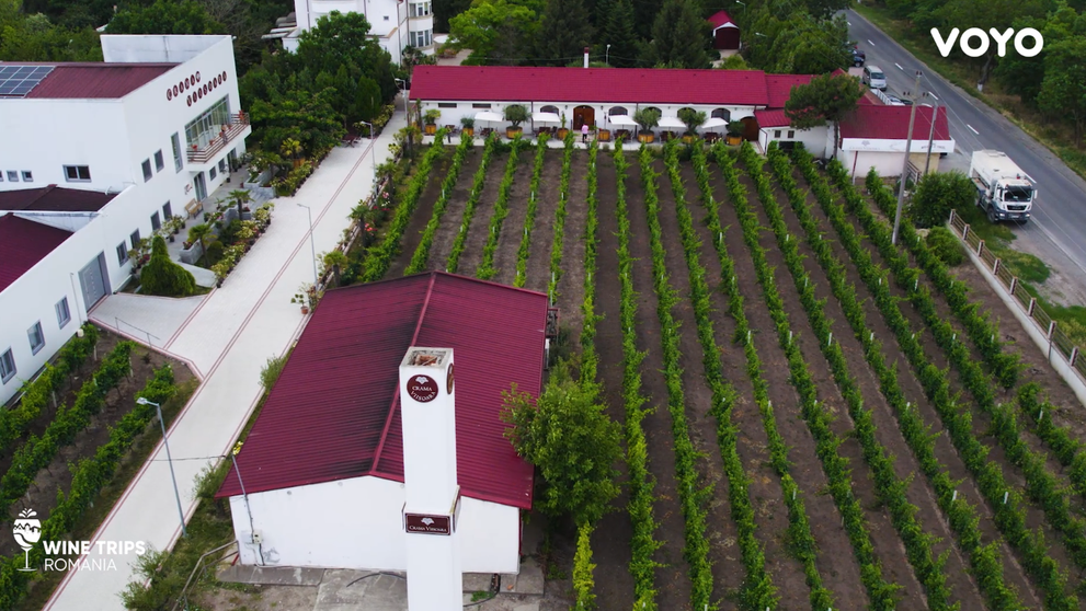 Wine Trips, sezonul 4 | Crama Viișoara, răsplata oferită străbunilor deposedați de vița de vie