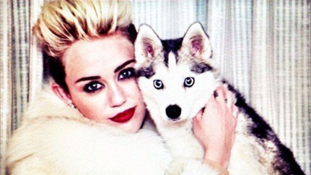 Miley Cyrus, intr-o tinuta extrem de provocatoare. De ce nimeni nu s-a uitat, insa, la ea