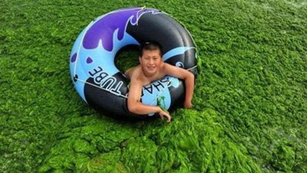 Chinezii ne-au luat si la... alge! Uite cum arata marea lor verde! FOTO