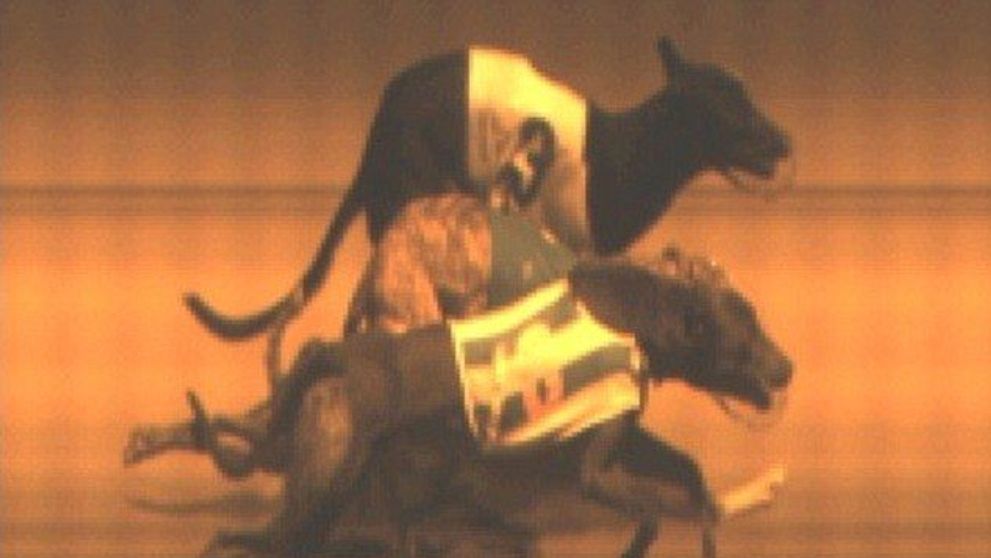 Sansele sa se intample asta erau de 1 la 30 de milioane. Rezultatul complet neasteptat al unei curse de caini: