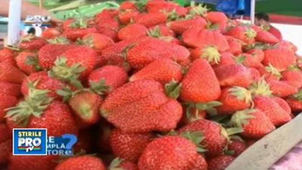 Vezi alimentele care contribuie la cresterea capacitatii intelectuale VIDEO