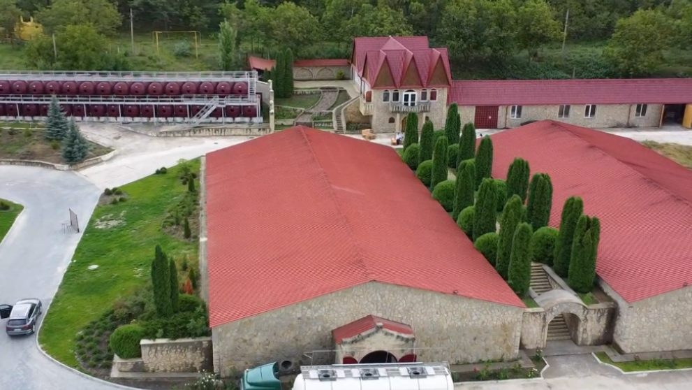 Wine Trips from România | Sălcuța Winery, afacerea de familie care prosperă din dragoste pentru vin