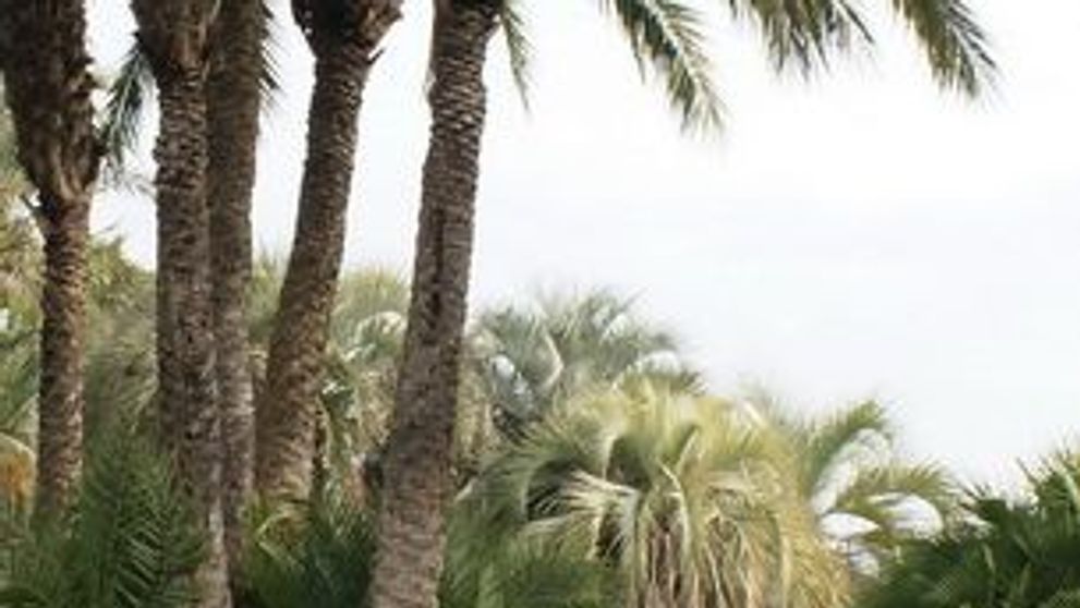 Octavian Strunila a intrat in noul an pe strazile din Barcelona FOTO!