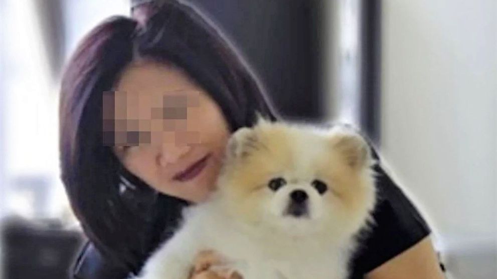 E oficial! Câinele suspect de coronvirus în Hong Kong a fost infectat. Ce au descoperit veterinarii