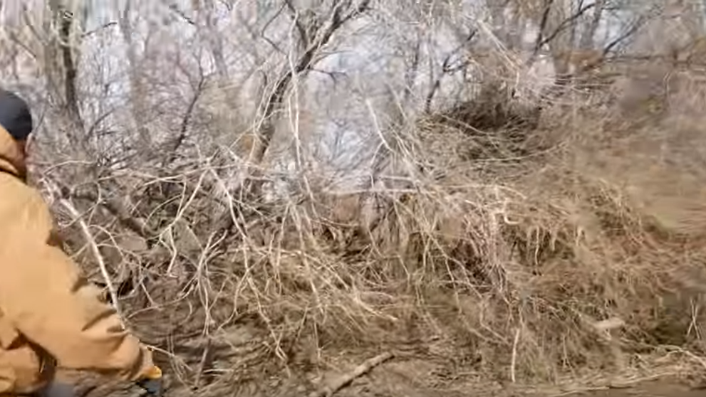 Doi pescari au auzit plansete dinspre mal. Unul dintre ei a fluierat si totul a luat o intorsatura neasteptata
