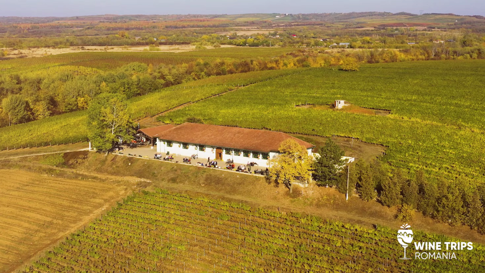 Wine Trips România | Acasă la Vinarte, locul nașterii vinului românesc modern
