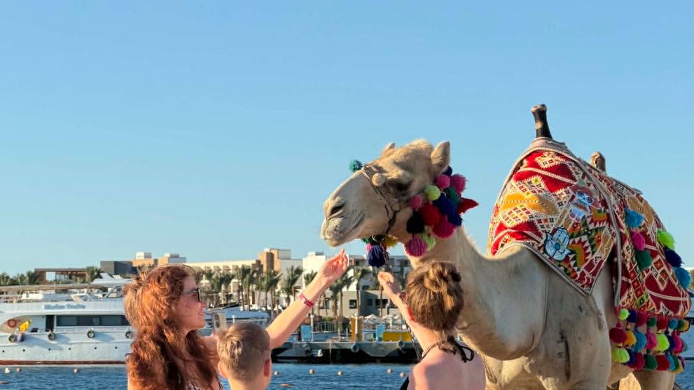 Hurghada, destinația care îi cucerește pe părinți și copii. „Aici cei mici nu au timp să se plictisească”