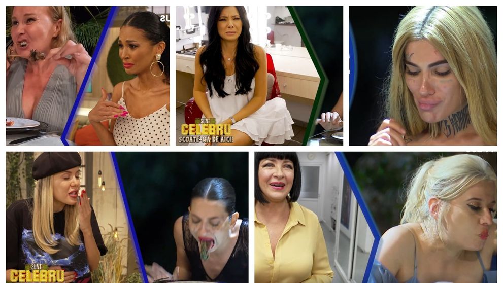 Vedetele PRO TV, despre momentele din Sunt celebru, scoate-mă de aici. Neti Sandu: „Ce poftă mi-a făcut”
