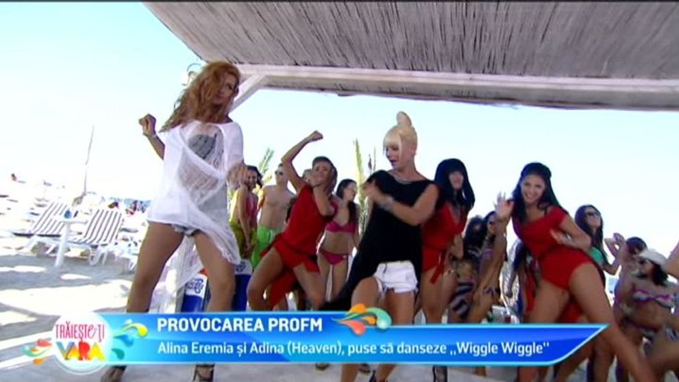 Provocarea ProFM