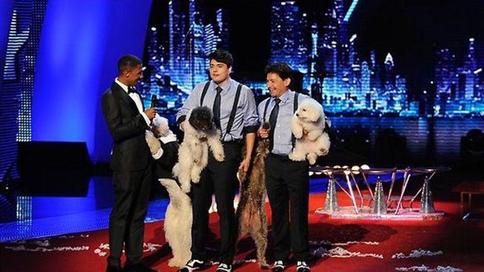 Cei mai talentati: Olate Dogs din America, Pudsey din Marea Britanie, Blue, Ozzy si Jay din Romania, preferatii publicului in show-urile 